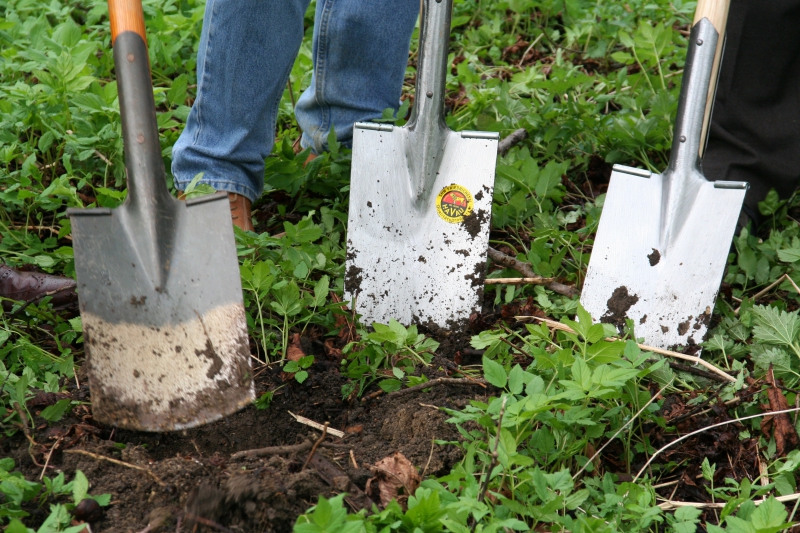 pepiniere-TRAMOLE-min_work-lawn-flower-tool-green-backyard-1103633-pxhere.com